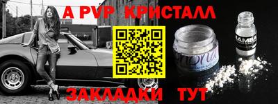 бошки Тара