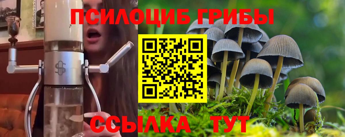 Галлюциногенные грибы Psilocybe Гагарин